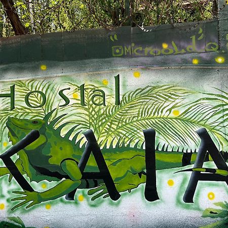 Hostal Kaia Santa Marta  Exterior foto
