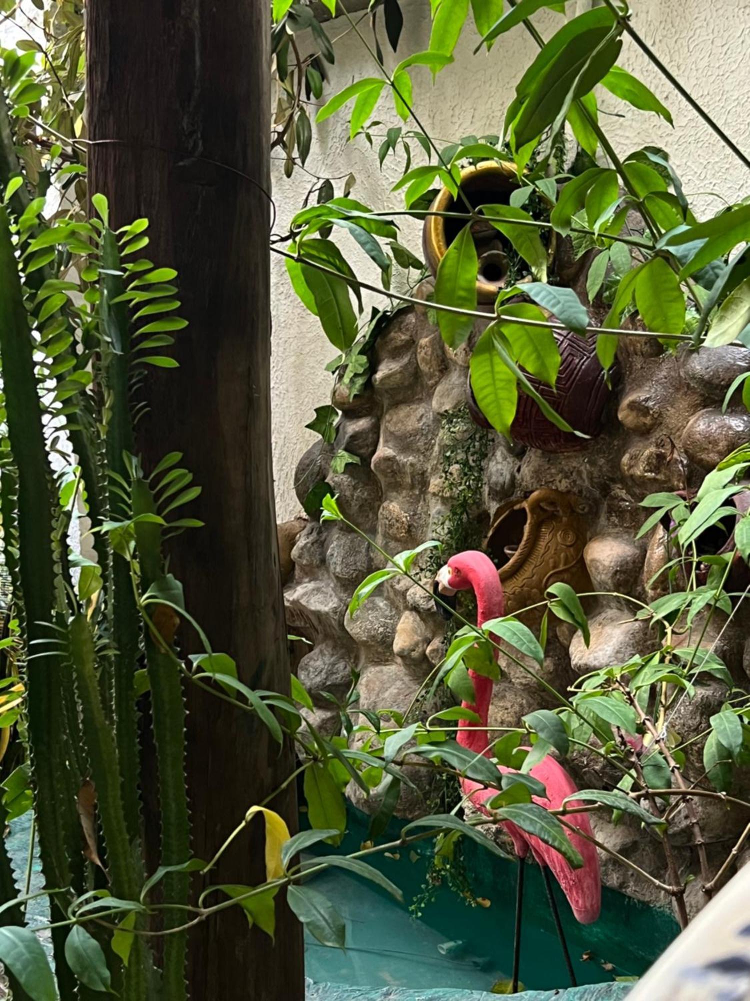 Hostal Kaia Santa Marta  Exterior foto